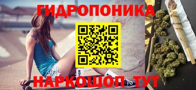 хмурый Гатчина