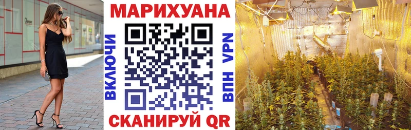 Конопля гибрид  Лангепас 